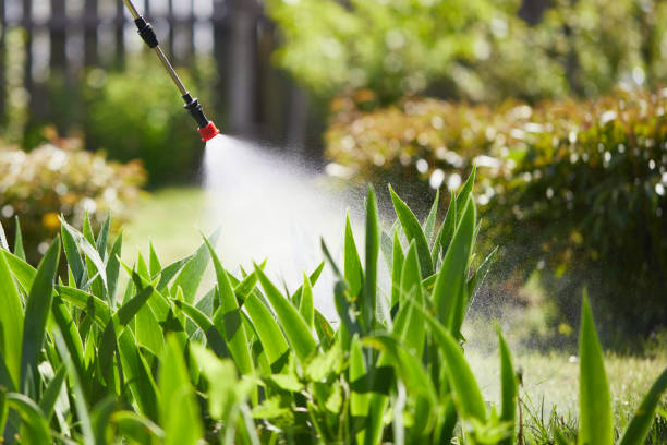 Tamper-Resistant Bait Stations for Rodents in Finneytown