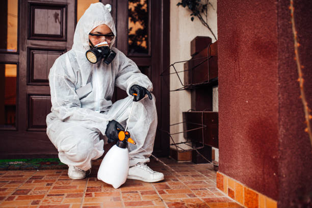 Attic and Crawl Space Rodent Treatment in Finneytown