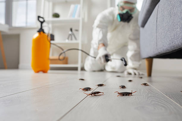 Commercial Rodent Management in Finneytown